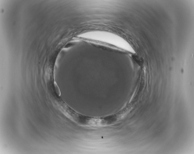 X0000087420227200705111924