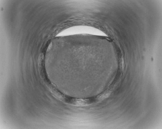 X0000087420229200705111924