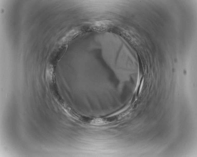 X0000087420231200705111924
