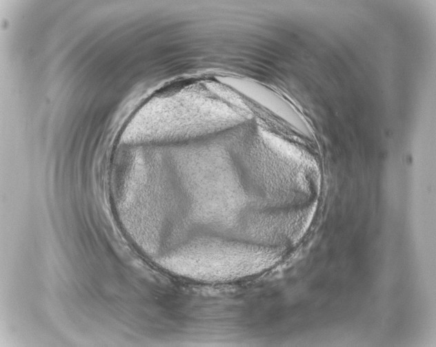 X0000087420241200705111923