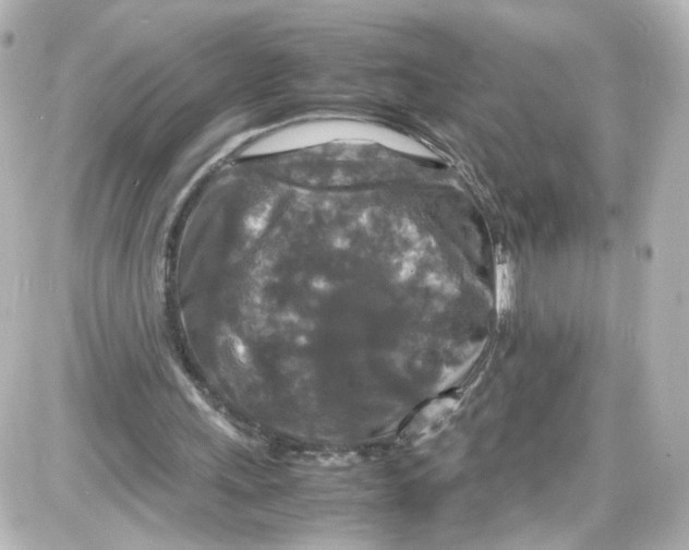 X0000087420243200705111923