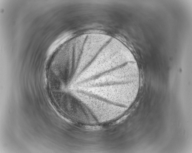 X0000087420245200705111923