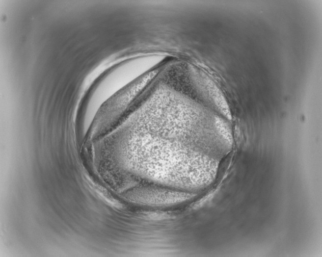 X0000087420246200705111923