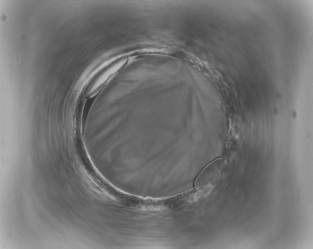 X0000087420247200705111923