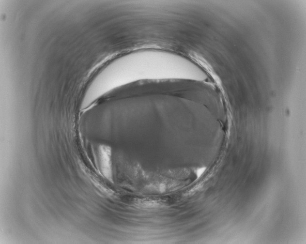 X0000087420249200705111923