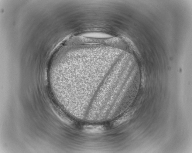 X0000087420251200705111923