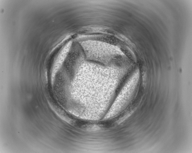 X0000087420254200705111923