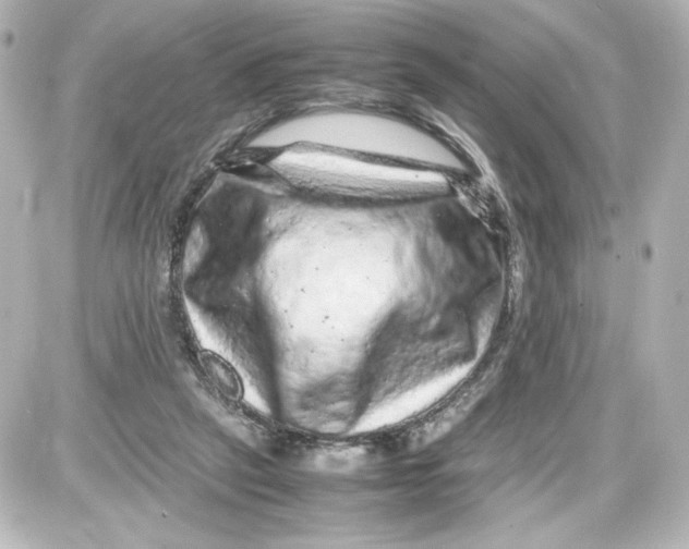 X0000087420257200705111923