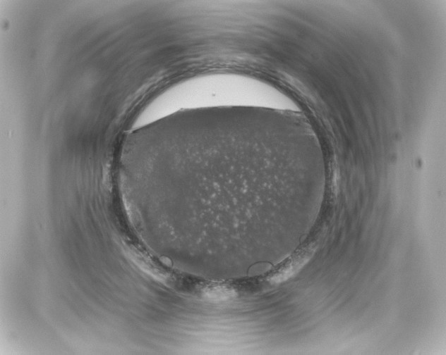 X0000087420258200705111923