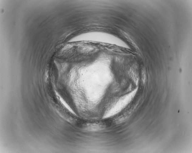 X0000087420259200705111923