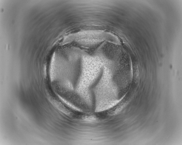 X0000087420262200705111923