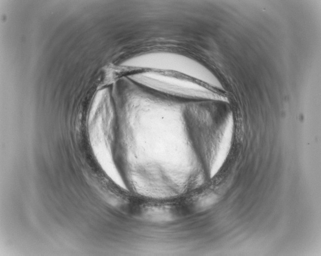 X0000087420263200705111923