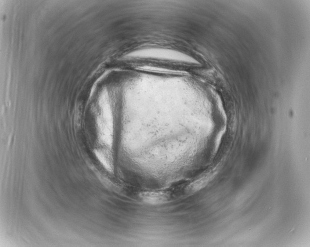 X0000087420273200705111924