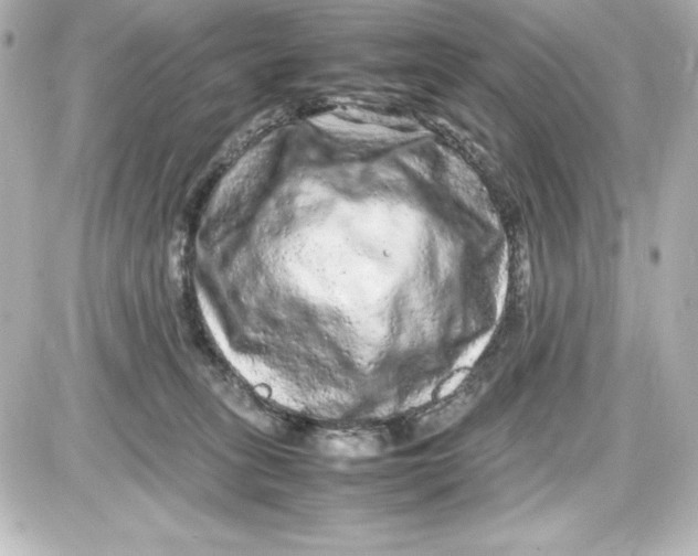 X0000087420275200705111924