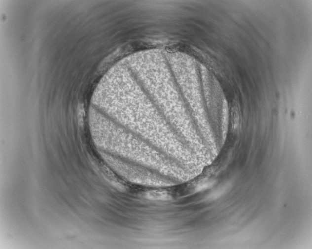 X0000087420279200705111924