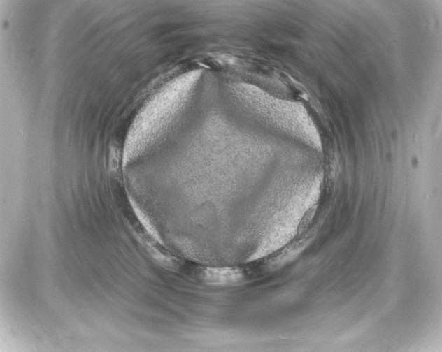 X0000087420281200705111924