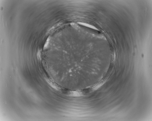 X0000087420286200705111924