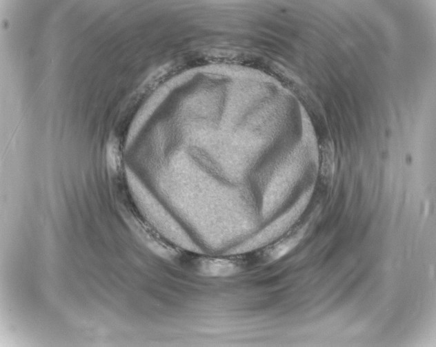 X0000087420287200705111924