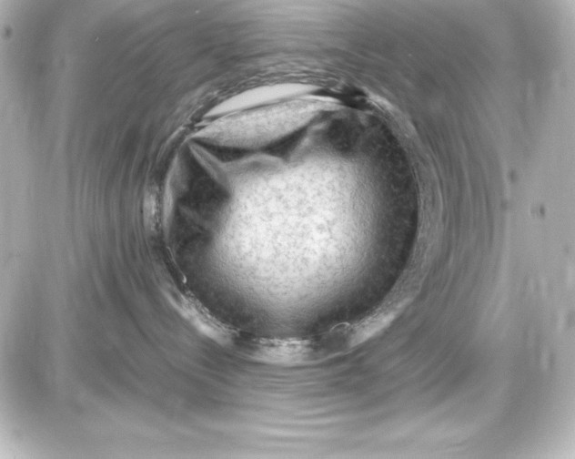 X0000087420288200705111924