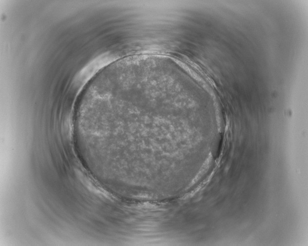 X0000087420290200705111923