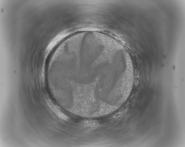 X0000087420296200705111923