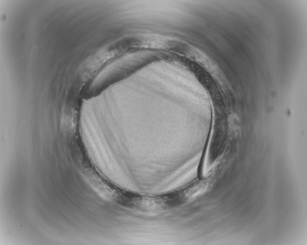 X0000087420305200705111923