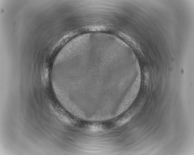 X0000087420308200705111923