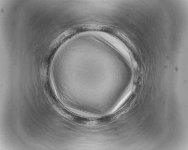 X0000087420309200705111923