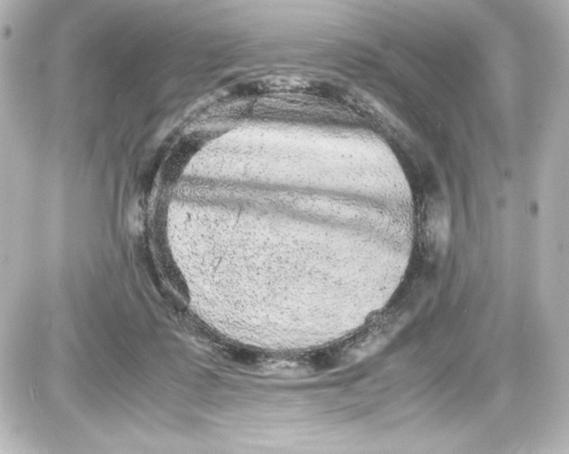 X0000087420315200705111923