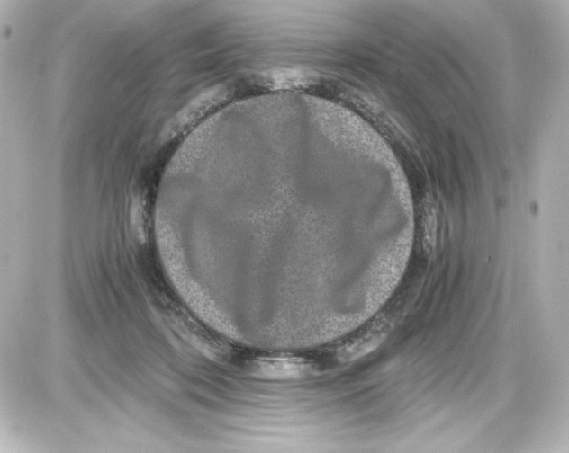 X0000087420316200705111923