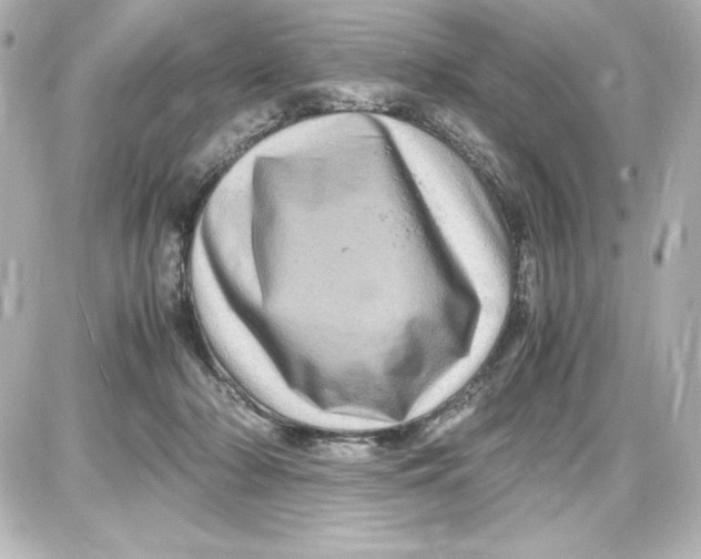 X0000087420318200705111923