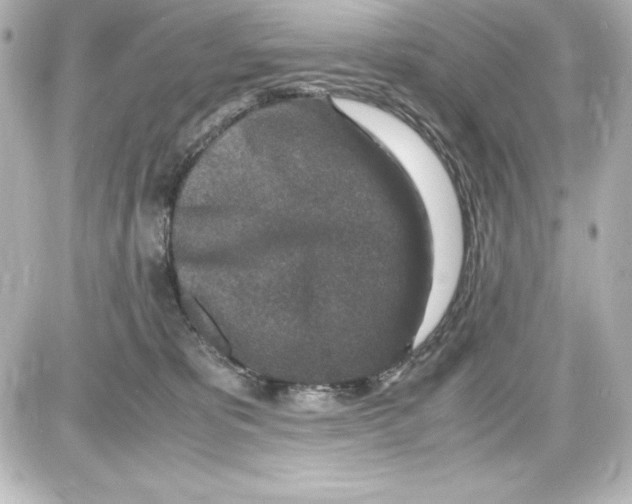 X0000087420325200705111922