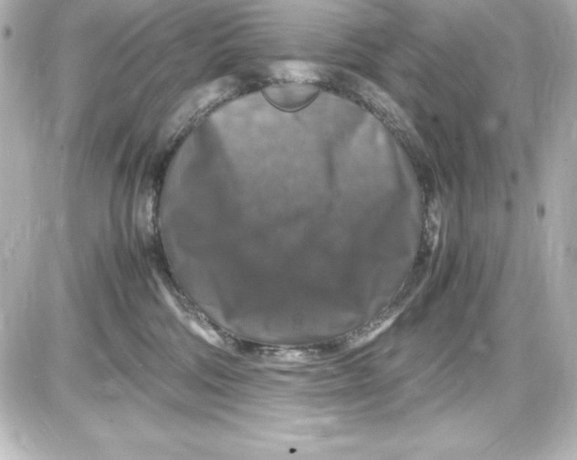X0000087420330200705111922