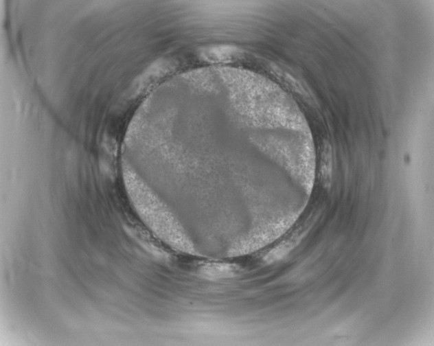 X0000087420332200705111922