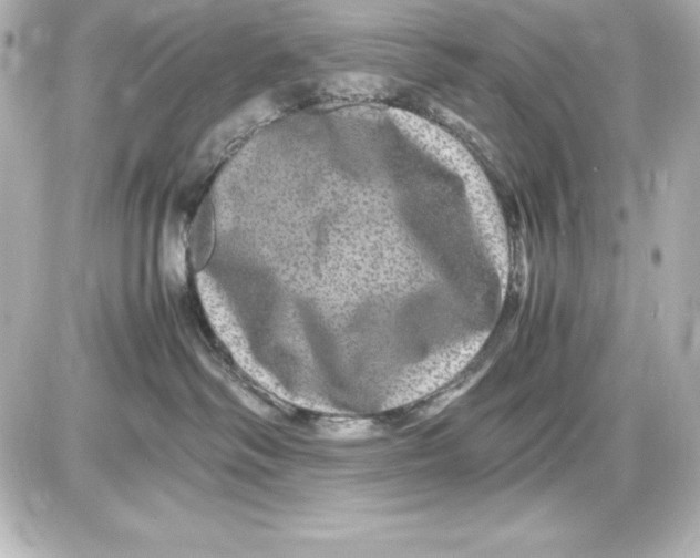 X0000087420334200705111922