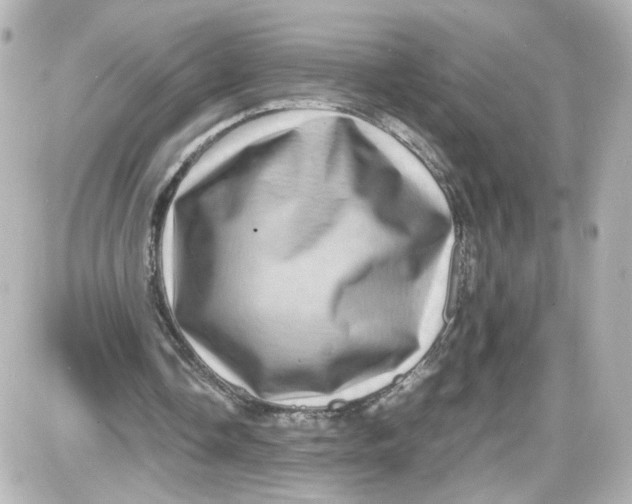 X0000087420338200705111922