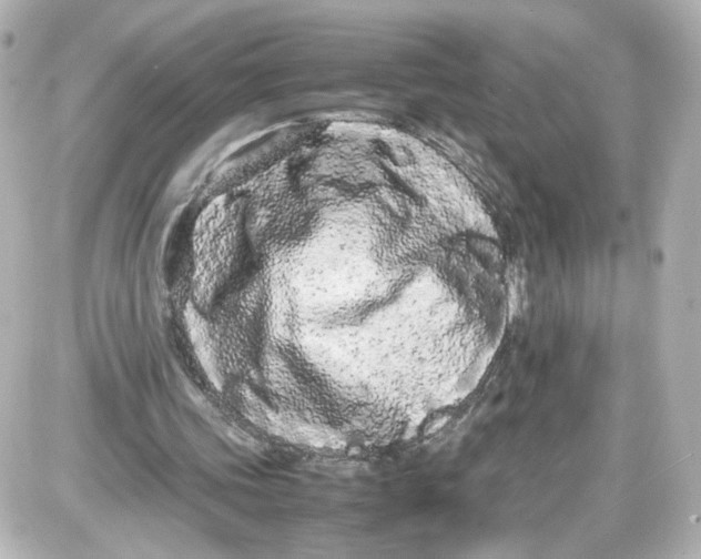 X0000087420339200705111922