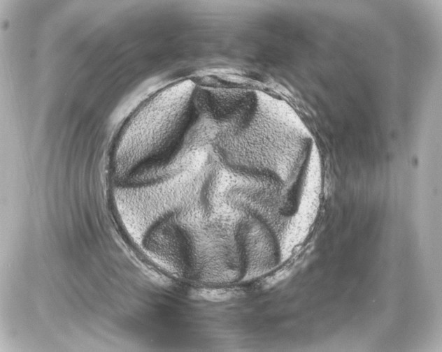 X0000087420341200705111922