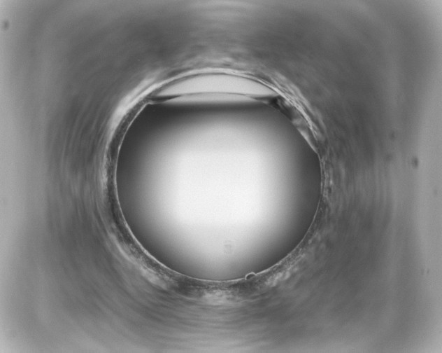 X0000087420344200705111922