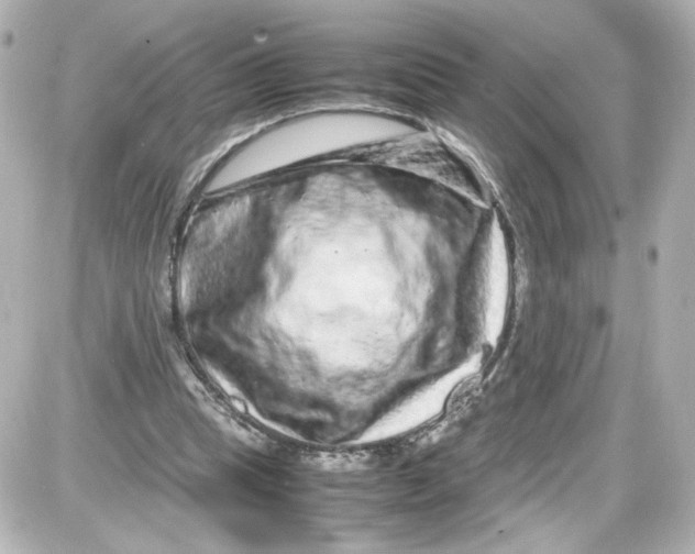 X0000087420345200705111922