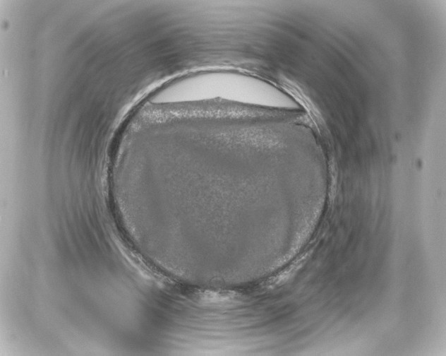 X0000087420346200705111922