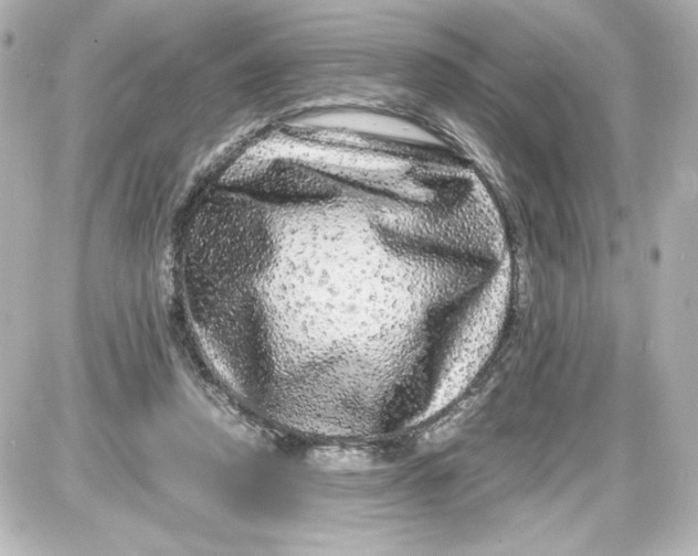 X0000087420354200705111922