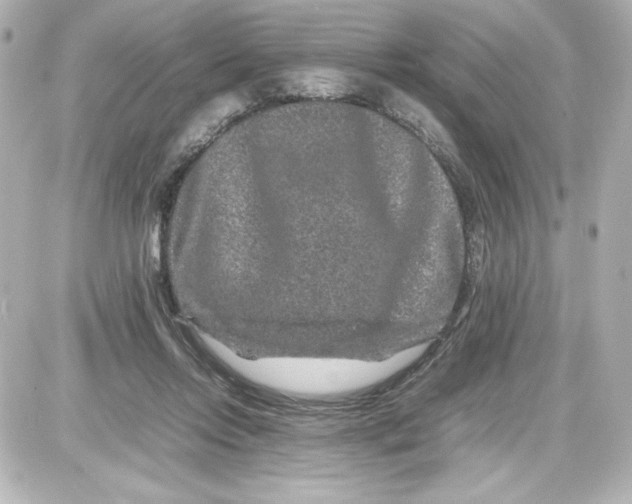 X0000087420358200705111922