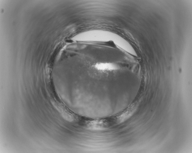 X0000087420366200705111922