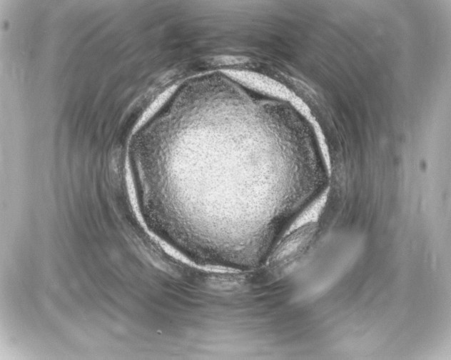 X0000087420373200705111922