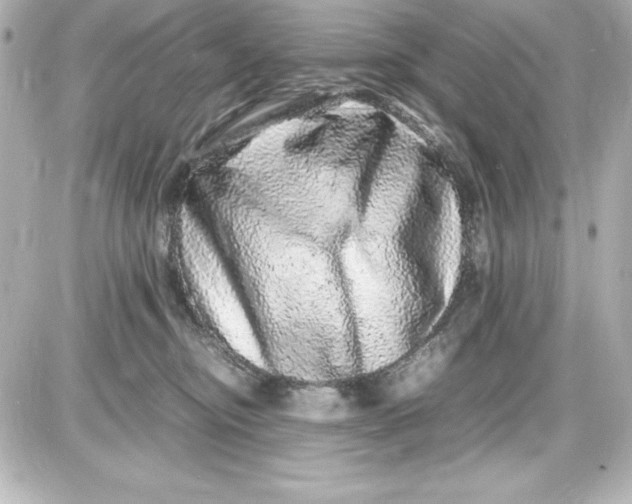 X0000087420374200705111922