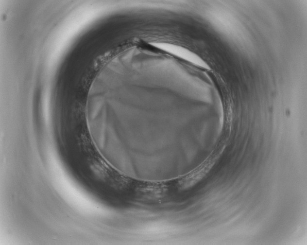 X0000087420383200705111922