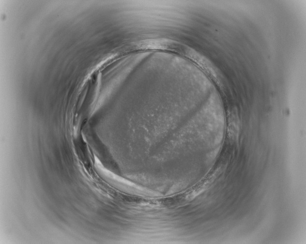 X0000087420386200705111922