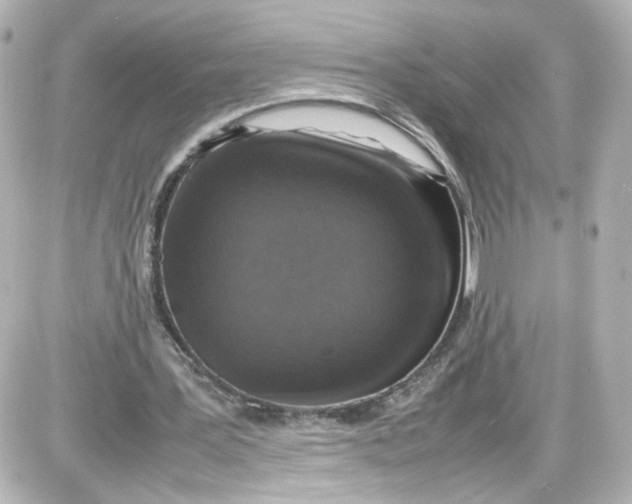 X0000087420387200705111921
