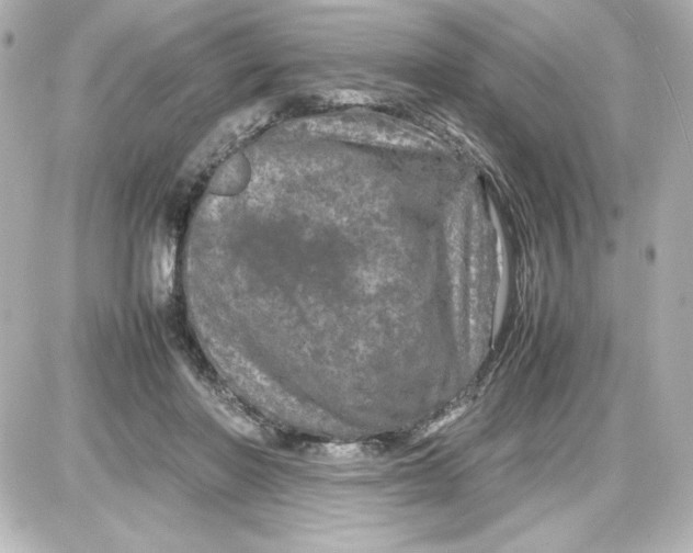 X0000087420406200705111921